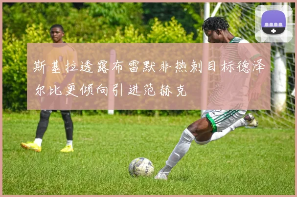 斯基拉透露布雷默非热刺目标德泽尔比更倾向引进范赫克